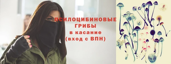 меф Инта