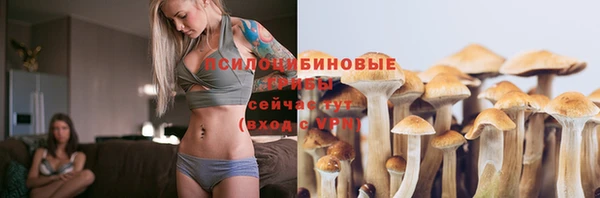 мдпв Иннополис