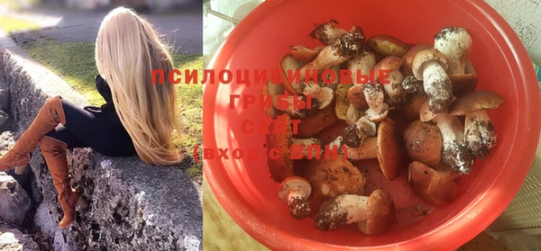 а пвп мука Каменногорск
