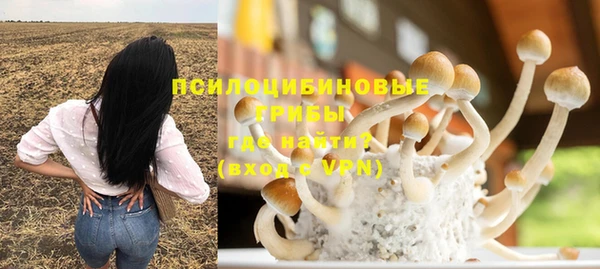 MESCALINE Инсар