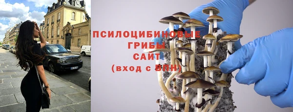 MESCALINE Инсар