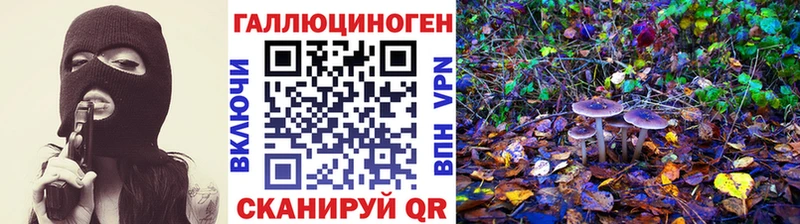 Галлюциногенные грибы Psilocybe  Радужный 